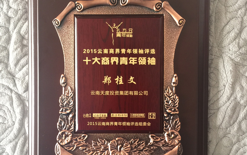 在“互联网大时代”的背景下，天博体育作为本土很大和很有名的互联网服务企业，为近万家传统企业转型互联网+提供了服务和帮助，获此奖项后，天博体育将再接再厉，创造更高的社会价值